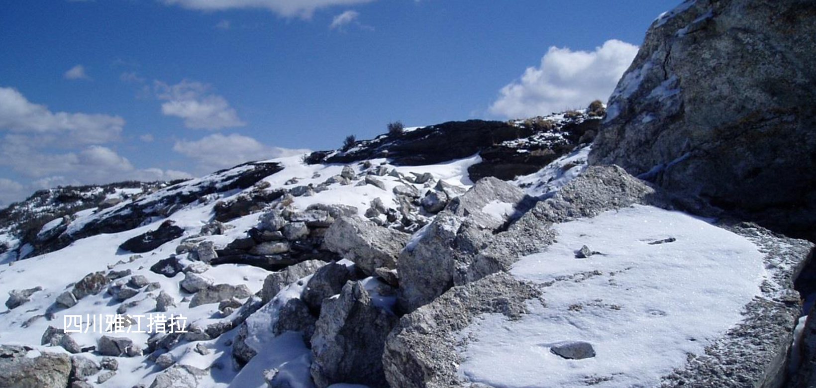 Lithium Carbonate Futures Hit 5-Month High Amid Rising Demand