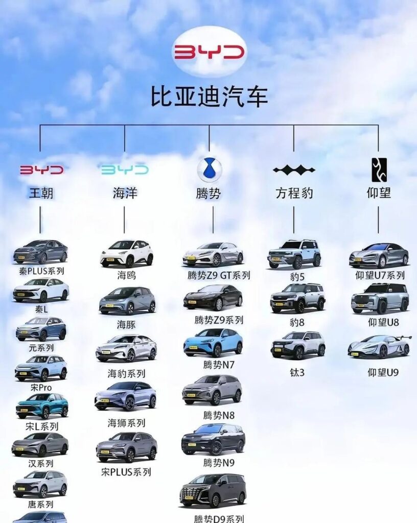 Reflections on the First Half of 2025: Trends and Challenges in China's Automotive Market