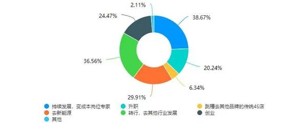 Challenges Faced by 4S Dealership Employees Amidst Industry Restructuring