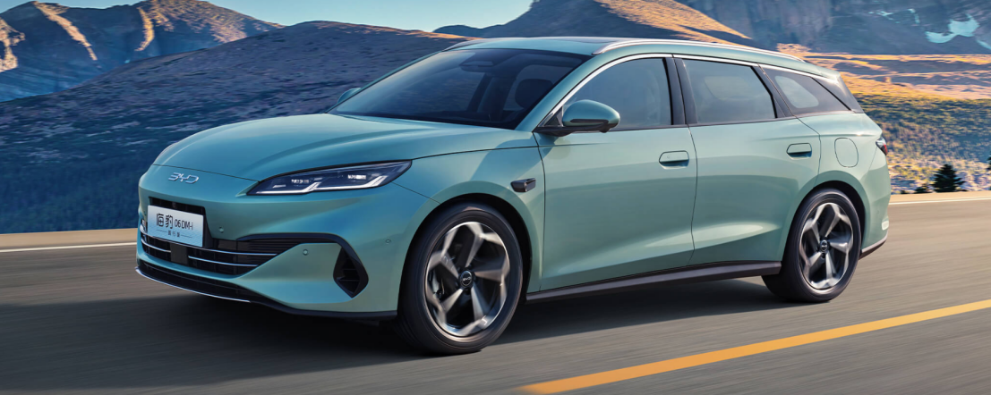 Only 15 EV Brands Expected to Survive in China's Competitive Market by 2030