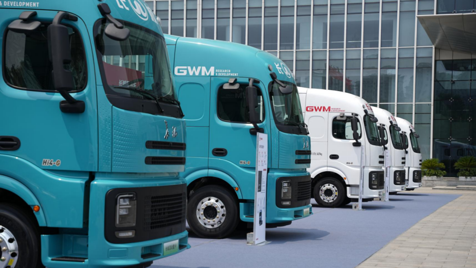 Great Wall Motors Leads Box Car Market with 48,358 Sales in June, Up 14.39%