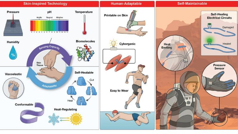 Researchers Develop Self-Healing Electronic Material Inspired by Human Skin