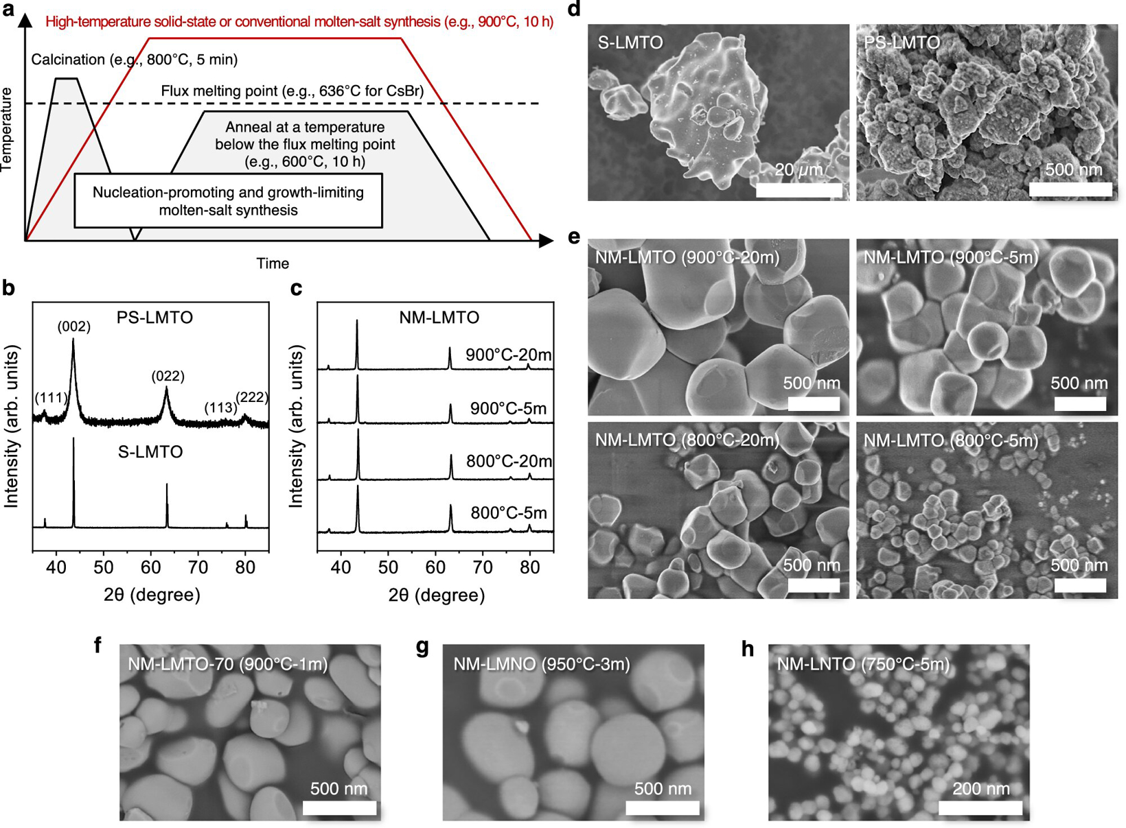 McGill University Develops New Method for High-Performance Lithium-Ion Battery Materials