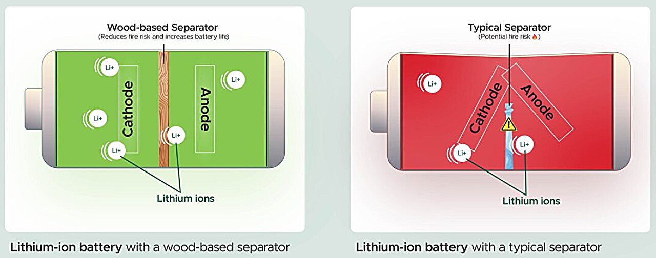 Natural Material from Wood Enhances Lithium-Ion Battery Safety and Longevity