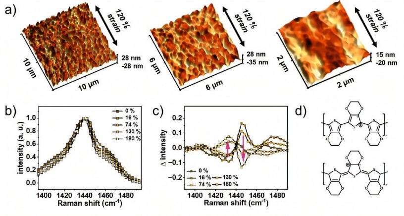 Researchers Develop Stretchable Health Monitoring Sensors with Skin-like Properties