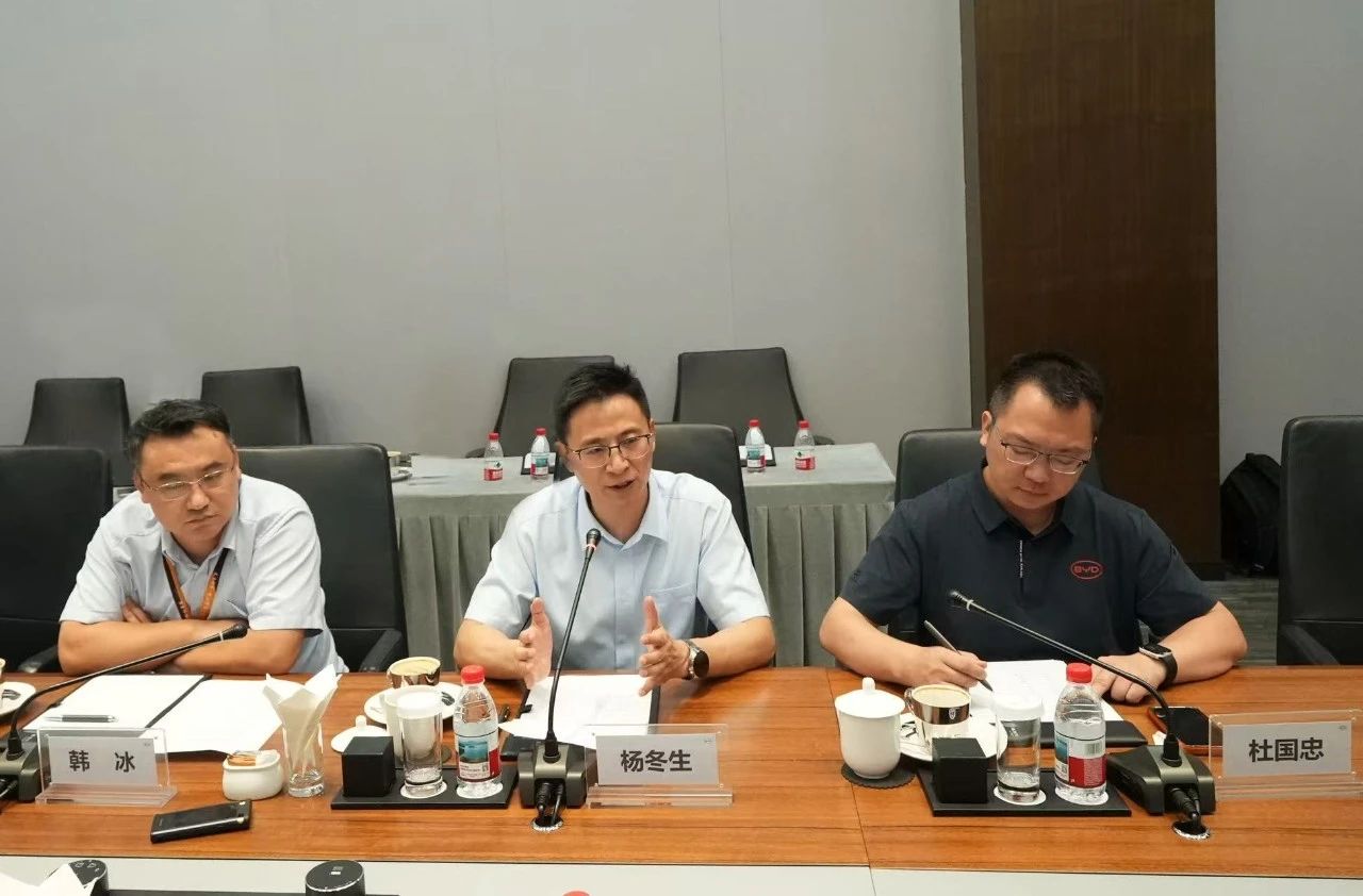 BYD's Electric Vehicle Sales Reach 344,296 Units in July 2025, Global Expansion Accelerates