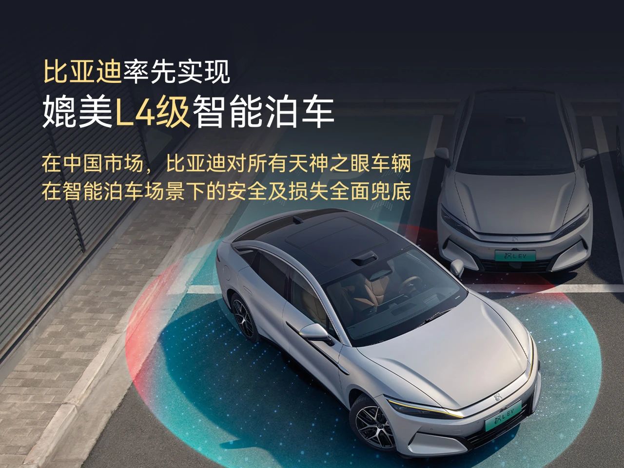 BYD's Electric Vehicle Sales Reach 344,296 Units in July 2025, Global Expansion Accelerates